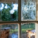 Window Glass Replacement vs. New Windows: Which Makes More Sense in Lafayette, Indiana?